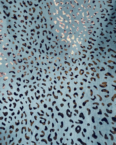 GRAOU Cover